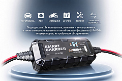 F10000 - автоматическое зарядное устройство 10A