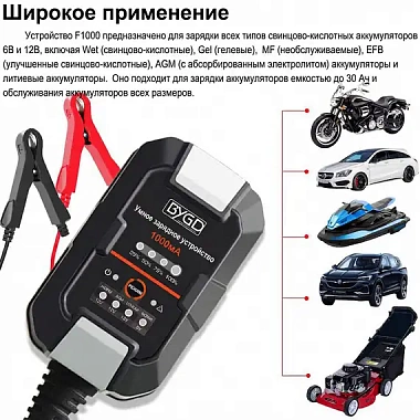F1000 — автоматическое зарядное устройство 1A